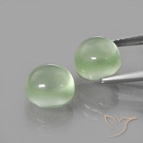 Pedras preciosas de Prehnite Verde muito claro natural de 5.68 ct, Redondo, Transparente