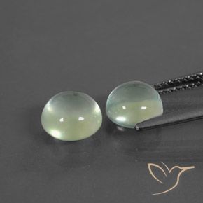 Pedras preciosas de Prehnite Amarelo verde natural de 3.99 ct, Redondo, Transparente
