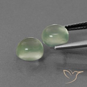 Pedras preciosas de Prehnite Amarelo verde natural de 4.34 ct, Redondo, Transparente