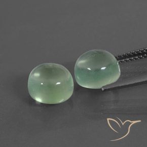 Pedras preciosas de Prehnite Verde muito claro natural de 5.84 ct, Redondo, Transparente