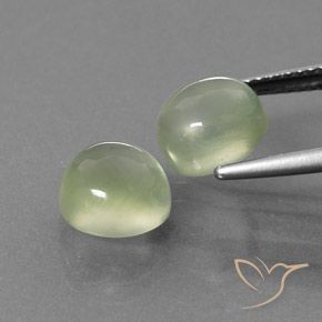 Pedras preciosas de Prehnite Verde acinzentado natural de 5.93 ct, Redondo, Transparente