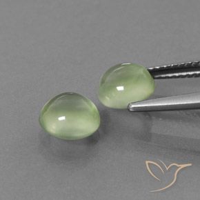 Pedras preciosas de Prehnite Amarelo verde natural de 3.24 ct, Redondo, Transparente