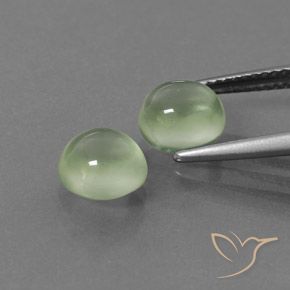 Pedras preciosas de Prehnite Amarelo verde natural de 3.67 ct, Redondo, Transparente
