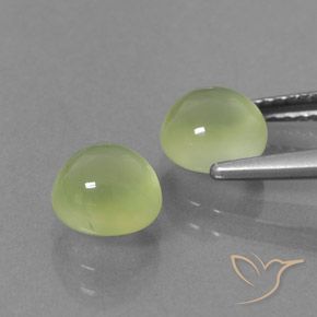Pedras preciosas de Prehnite Luz verde natural de 3.37 ct, Redondo, Transparente