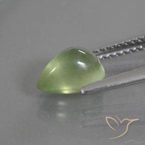 Prehnite Pêra Pêra Verde Natural 1.64ct, Formato de pêra, Transparente/Translúcido