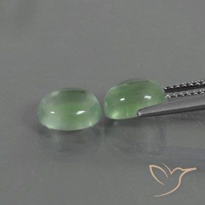 Pedras preciosas de Prehnite verde quente natural de 3.82 ct, oval, Transparente
