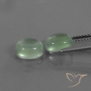 Pedras preciosas de Prehnite verde quente natural de 4.04 ct, oval, Transparente