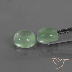 Pedras preciosas de Prehnite verde quente natural de 4.79 ct, oval, Transparente
