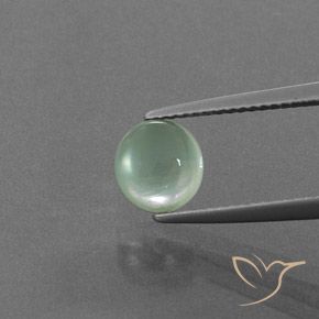 1.73ct Natural Menta verde Prehnite, Redondo, Transparente