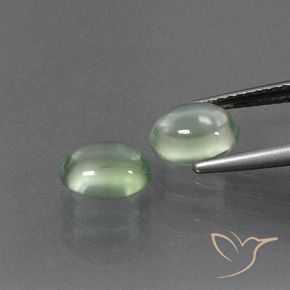 Pedras preciosas de Prehnite Luz verde natural de 2.85 ct, oval, Transparente
