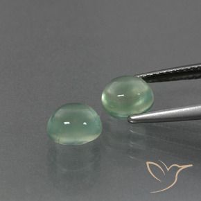 Pedras preciosas de Prehnite Hortelã clara natural de 2.53 ct, oval, Transparente