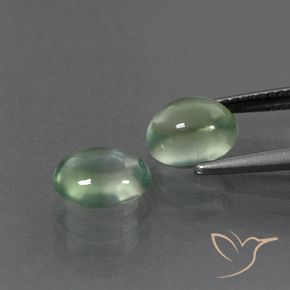 Pedras preciosas de Prehnite Luz verde natural de 3.59 ct, oval, Transparente