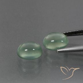 Pedras preciosas de Prehnite verde quente natural de 3.23 ct, oval, Transparente