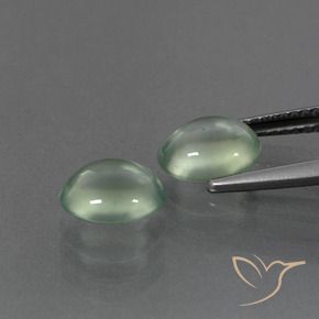 Pedras preciosas de Prehnite Luz verde natural de 3.11 ct, oval, Transparente