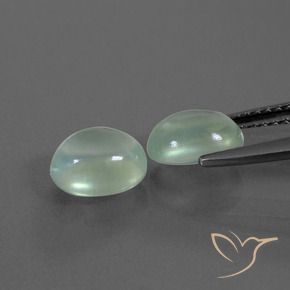 Pedras preciosas de Prehnite Verde Pêra Claro natural de 2.74 ct, oval, Transparente