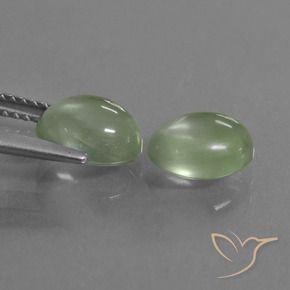 Pedras preciosas de Prehnite verde quente natural de 3.79 ct, oval, Transparente