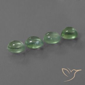 Pedras preciosas de Prehnite verde quente natural de 7.80 ct, oval, Transparente