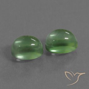 Pedras preciosas de Prehnite verde quente natural de 2.68 ct, oval, Transparente