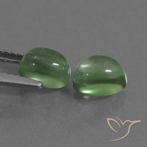 Pedras preciosas de Prehnite verde quente natural de 2.68 ct, oval, Transparente