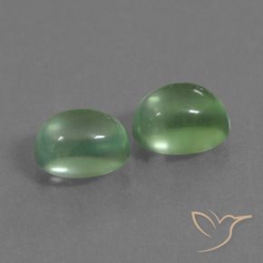 Pedras preciosas de Prehnite Verde médio natural de 2.66 ct, oval, Transparente