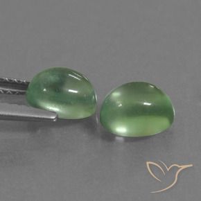 Pedras preciosas de Prehnite Verde médio natural de 2.66 ct, oval, Transparente