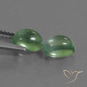 Pedras preciosas de Prehnite Verde Terroso natural de 2.40 ct, oval, Transparente