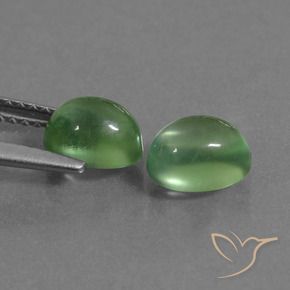 Pedras preciosas de Prehnite Luz verde natural de 2.45 ct, oval, Transparente