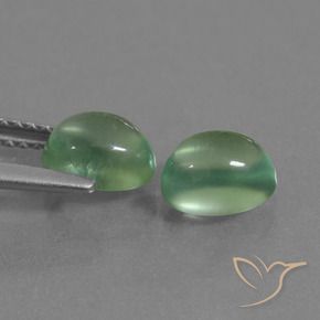 Pedras preciosas de Prehnite Verde Terroso natural de 2.47 ct, oval, Transparente