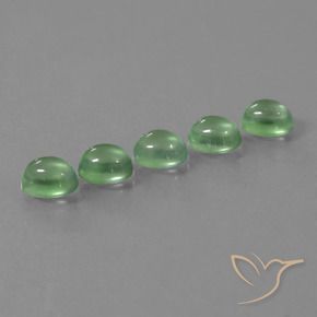 Pedras preciosas de Prehnite verde quente natural de 5.92 ct, oval, Transparente