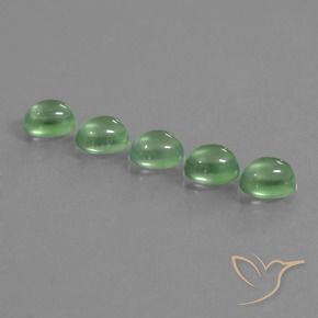 Pedras preciosas de Prehnite verde quente natural de 5.92 ct, oval, Transparente