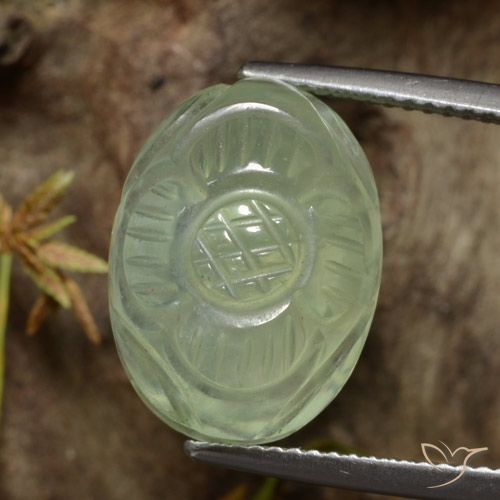 12.99ct Natural Luz verde Prehnite, Flor cortada, Translúcido