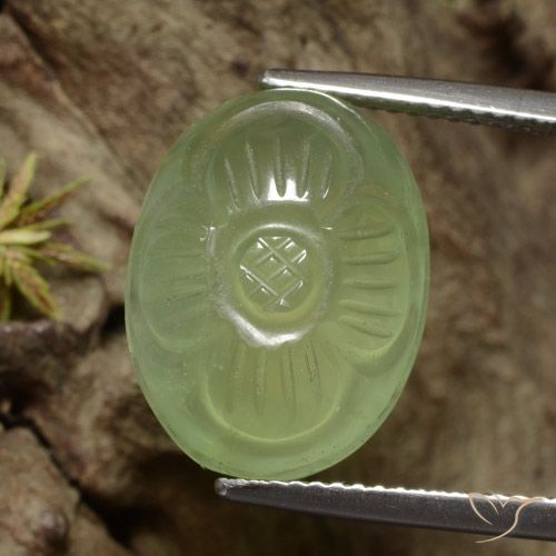 12.53ct Natural Amarelo verde Prehnite, Flor cortada, Translúcido