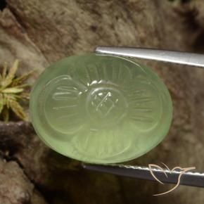 Prehnite Amarelo verde Natural 12.53ct, Flor cortada, Translúcido