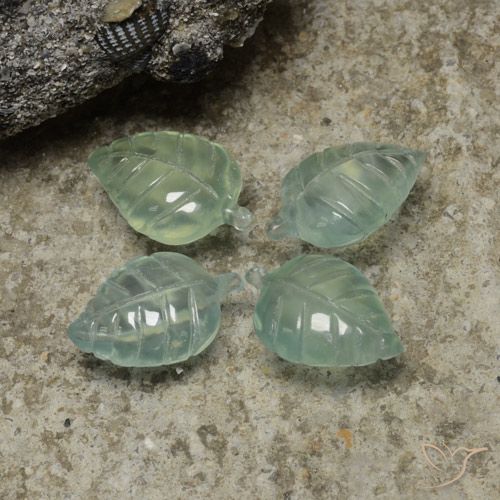 14.67ctw Natural Verde Mar Claro Prehnite, Flor cortada, Transparente
