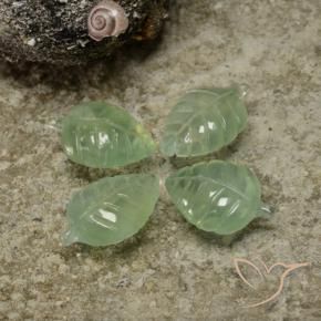 Pedras preciosas de Prehnite Verde Limão Pálido natural de 17.67 ct, Flor cortada, Transparente