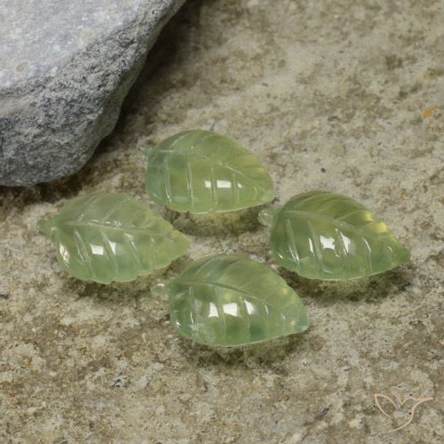 16.96ctw Natural verde pêra Prehnite, Flor cortada, Transparente