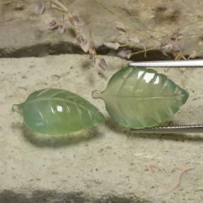 Pedras preciosas de Prehnite verde quente natural de 17.47 ct, Flor cortada, Translúcido