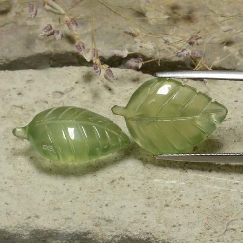 Pedras preciosas de Prehnite Verde médio natural de 17.34 ct, Chique, Translúcido