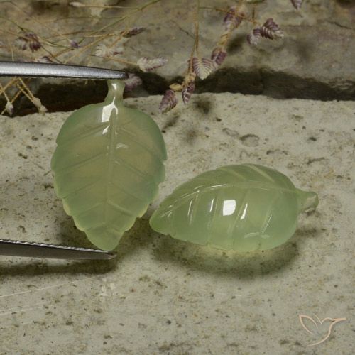 14.13ctw Natural Pêra Pêra Verde Prehnite, Flor cortada, Translúcido