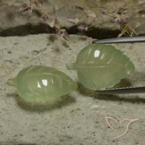 Pedras preciosas de Prehnite Pêra Pêra Verde natural de 14.13 ct, Flor cortada, Translúcido