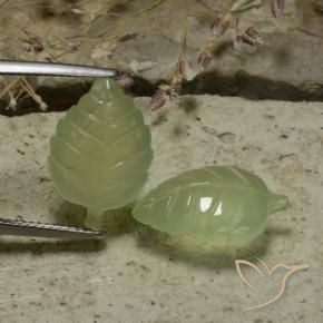 Pedras preciosas de Prehnite Pêra Pêra Verde natural de 14.13 ct, Flor cortada, Translúcido