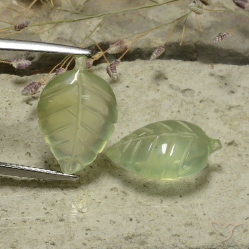 13.18ctw Natural Pêra Pêra Verde Prehnite, Flor cortada, Translúcido