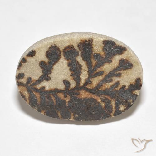 26.52ct Natural Multicolorido Dendrito Psilomelano, oval, Opaco