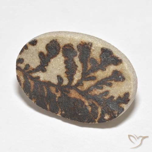 Dendrito Psilomelano Multicolorido Natural 26.52ct, oval, Opaco