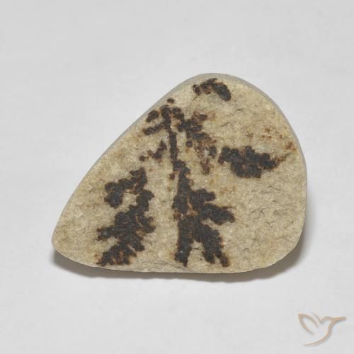 11.56ct Natural Multicolorido Dendrito Psilomelano, Formato de pêra, Opaco