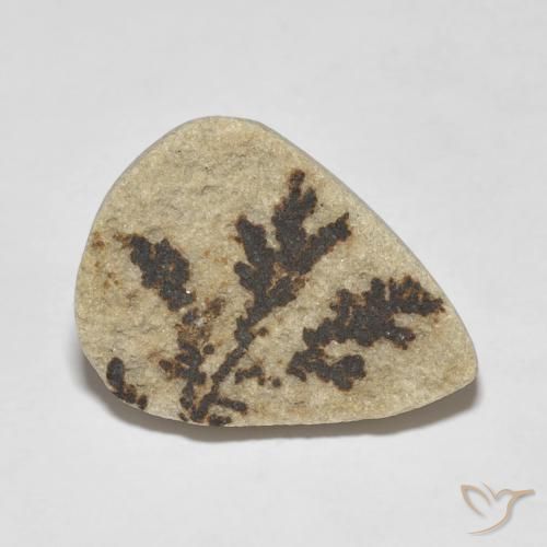 Dendrito Psilomelano Multicolorido Natural 11.56ct, Formato de pêra, Opaco