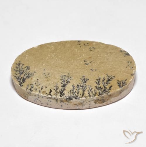 Dendrito Psilomelano Multicolorido Natural 52.94ct, oval, Opaco