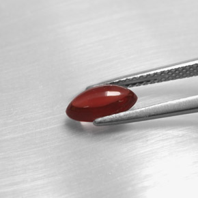 Granada piropo vermelho natural 1,20ct, transparente, transparente/translúcido