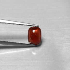 Granada piropo vermelho natural 1,47ct, transparente, transparente/translúcido