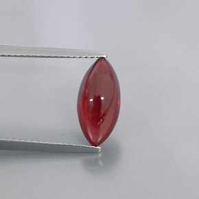 Granada piropo vermelho natural 3,08ct, transparente, transparente/translúcido